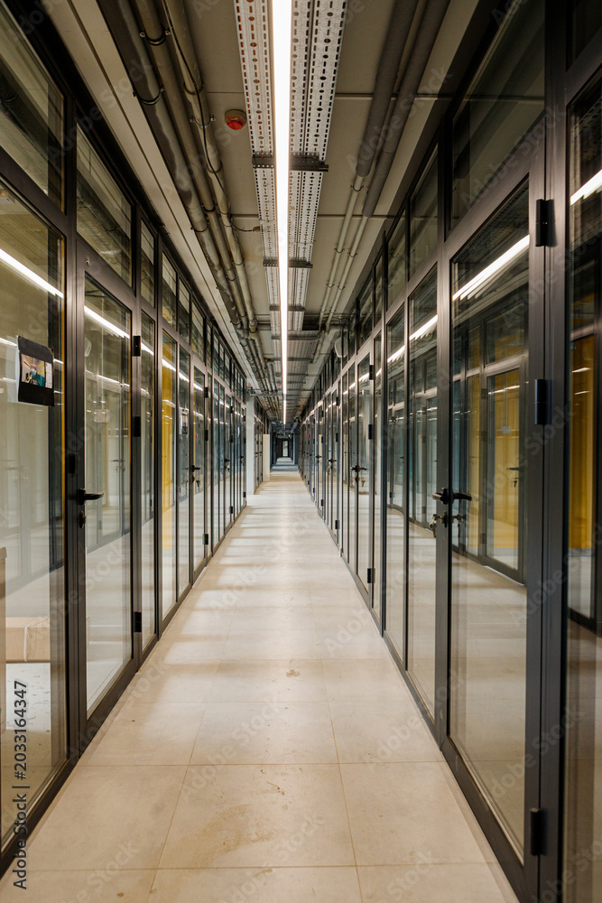 Fototapeta premium Futuristic business hallway interior