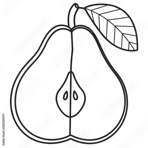 Fotografia pear with smooth taper and one leaf line art vector illustration on transparent