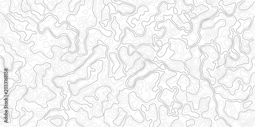 Foto Topographic map design with wavy lines and contours on white background_1