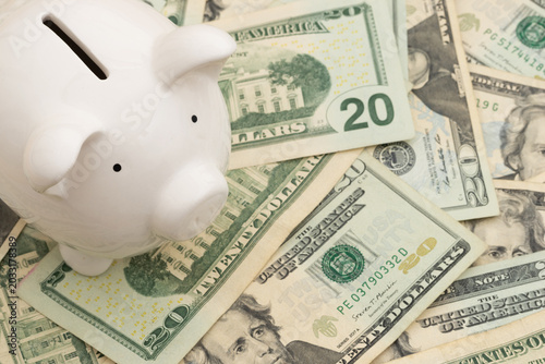 Foto Piggy bank on twenty dollar bills for budgeting
