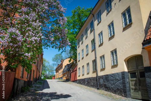 Photography View of Stockholm City in spring