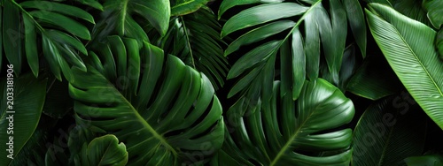 Panoramic tropical leaf wall made of monstera and banana leaves, rich green textures, modern jungle aesthetic, soft luxury lighting, large panoramic