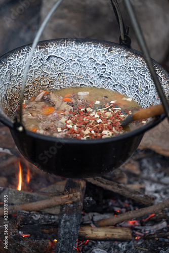 Vegetables simmering in an enamel pot over a campfire in the forest. Cozy outdoor cooking atmosphere featuring fire flames, wooden spoon, rustic style, and traditional camping experience.