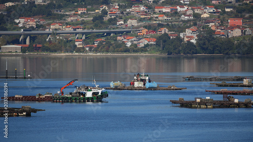 Foto Bateas en la ría de Vigo, Pontevedra, Galicia, España