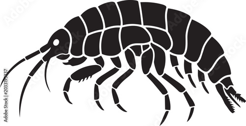 Bild auf Leinwand Black silhouette of a gammarus amphipod crustacean a simple vector illustration