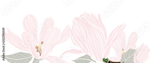 Banner con magnolie rosa su sfondo bianco