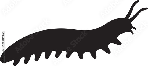 Bild auf Leinwand Black silhouette of a centipede or millipede insect simple vector illustration f