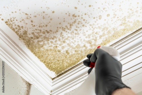 Canvas Print Closeup of hand cleaning ceiling mold