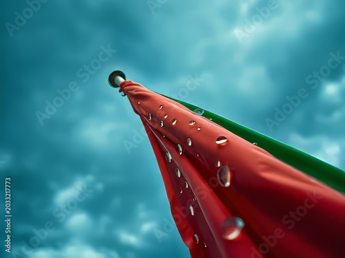Flag with raindrops on a cloudy day.