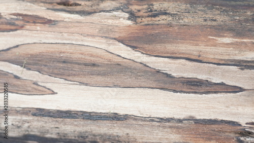 Bilde på lerret Brown wooden texture background