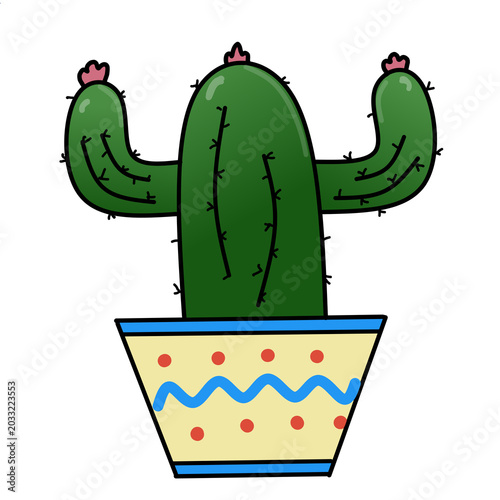 cactus in a pot