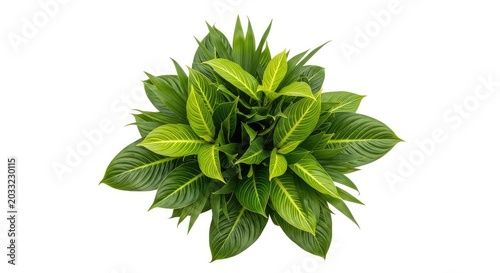 Vibrant cluster of tropical green leaves and dense foliage, isolated on a white background, perfect for architectural visualization and design, vibrant, lush, vertical