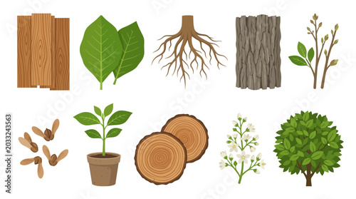 Canvastavla Vector illustration of different plant parts, seedlings, and growth stages inclu