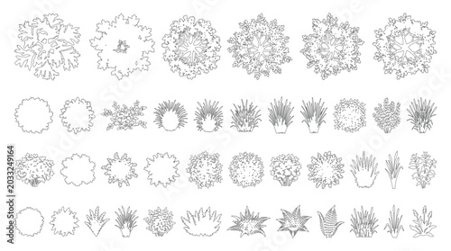 CAD landscape plants top view line drawing set, outline shrubs grasses leaves and garden plant symbols for architecture landscape design site plan vector illustration