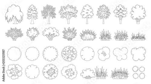 Billede på lærred CAD trees shrubs and grass line drawing set, side view and top view outline plan