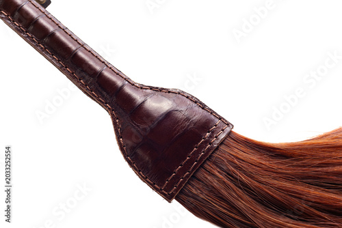 Foto Closeup whip orange