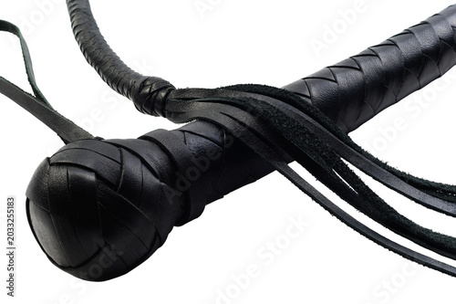 Bild auf Leinwand Closeup whip