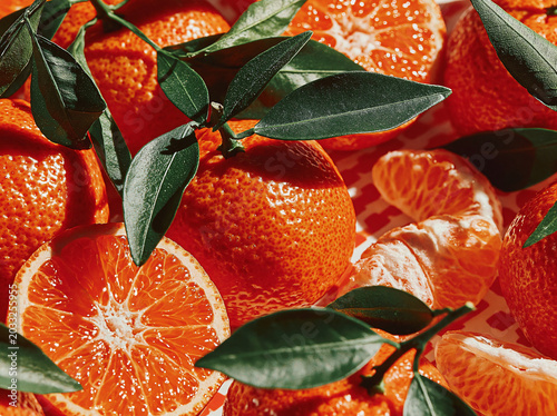 Vibrant oranges, some whole and some sliced, glisten under natural light, showcasing their juicy texture and bright color.
