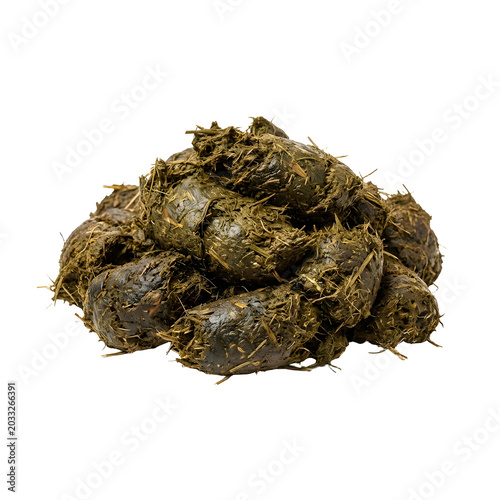 Pile of green horse manure with hay and grass isolated on transparent background