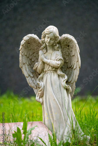 Cemetery angel in cemetery