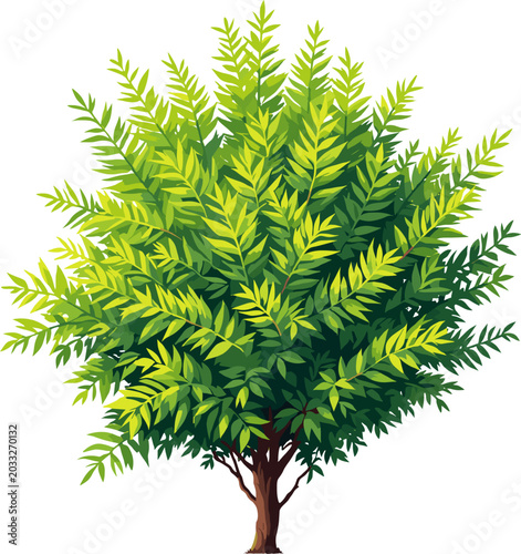 Lush green bush with dense foliage, decorative botanical illustration of garden plant, natural greenery design element for landscape scenes