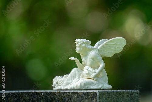 Cemetery angel 