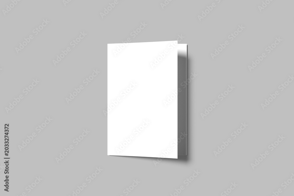 Fototapeta premium Bifold Mockup Design Blank 3D 