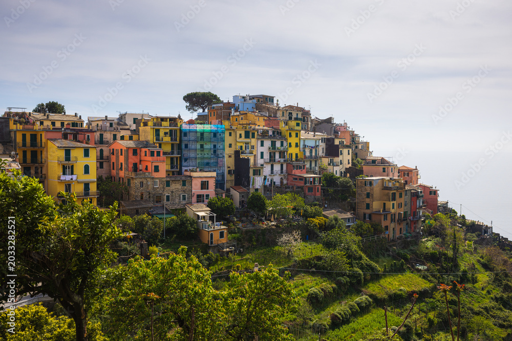Fototapeta premium In the historic center of Corniglia