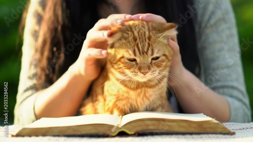 Extreme close-up video of a fluffy ginger tabby kitten blissfully stroked by human hands on a creamy blanket, blurred foliage bokeh. Intimate pet companionship