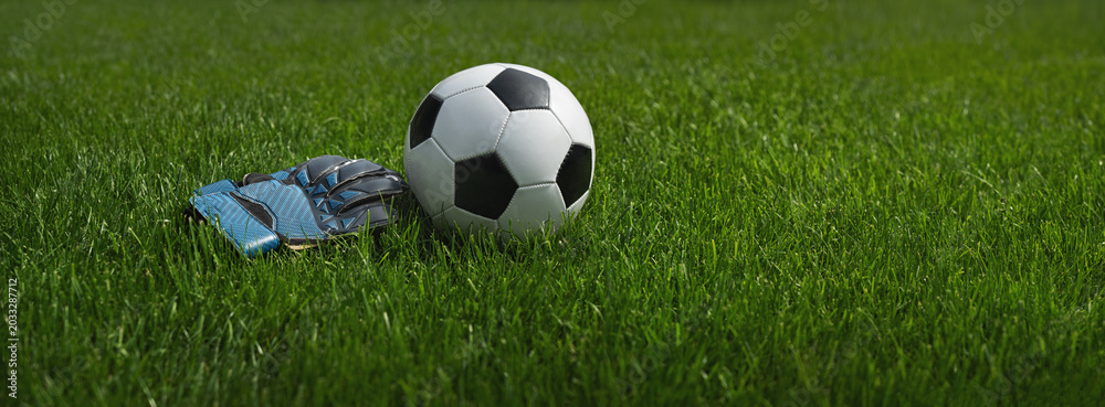 Fototapeta premium green grass texture with a soccer ball and goalkeeper gloves - well-groomed turf.