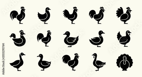 Farm Bird Silhouettes Collection: Chicken, Duck, Goose, Turkey Icons