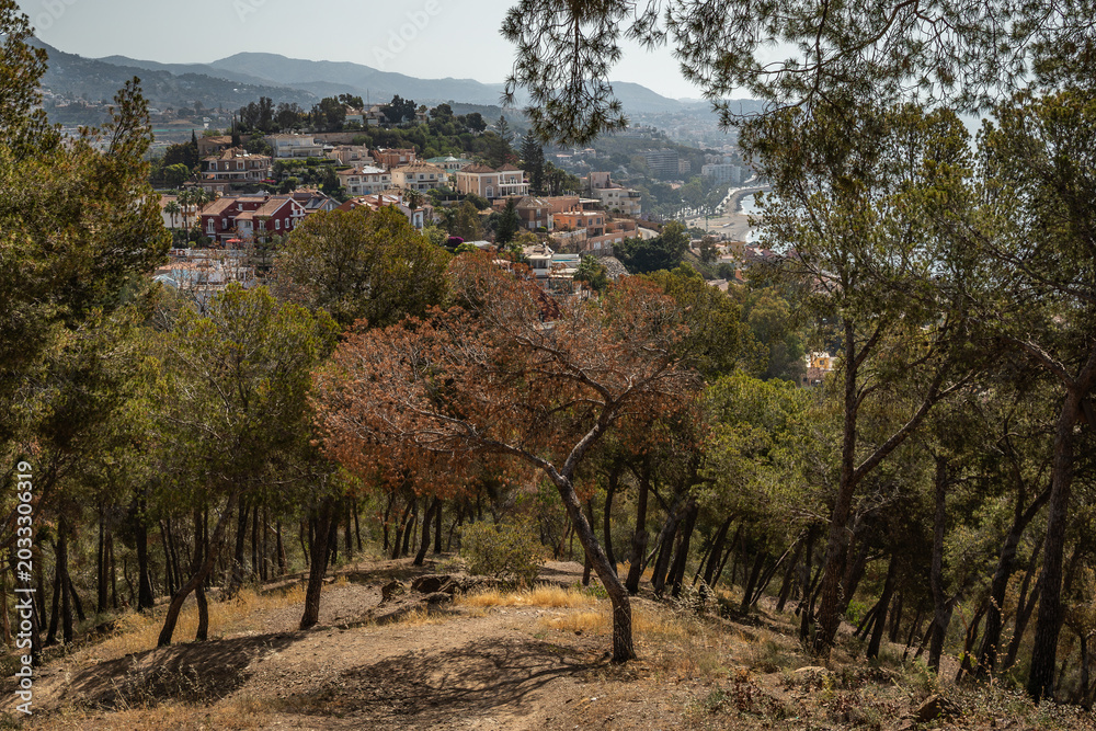 Fototapeta premium Scenic Hillside View over Residential Area in Málaga. View on Houses from Hill with Trees during Afternoon in Southern Spain.