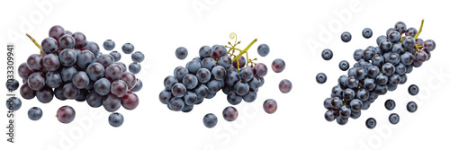 Foto Set and collection of fresh organic black seedless grapes cluster sweet ripe har