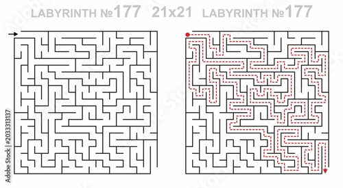 Maze challenge with answers. Complex maze path 21x21 with solution. Empty grid template for teachers. Hard.