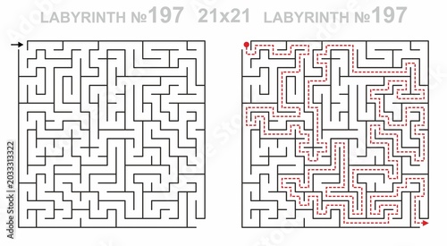 Maze challenge with answers. Square labyrinth 21x21 with solution. Ready to use geometric texture for printing.