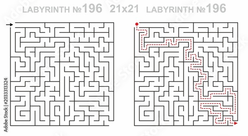 Labyrinth game grid 21x21 with solution. Complex maze path for adults. Printable puzzle with answer key. Hard level.