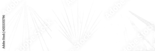 Bild auf Leinwand Set and collection of subtle white light beams sun rays abstract background over