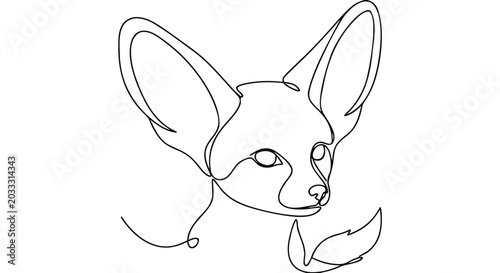 Foto Fennec fox big ears frame