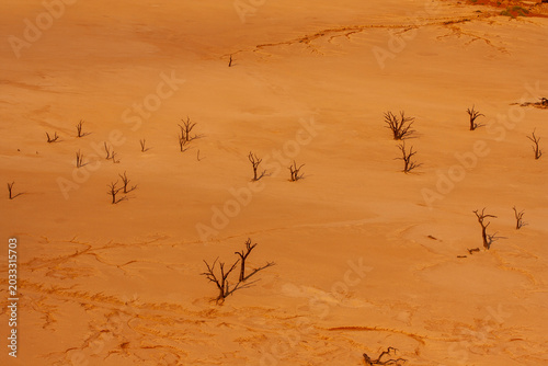 Tableau sur toile Sossusvlei, Namib Desert, Namibia, Africa