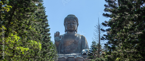 Large Buddha statue surrounded by green trees in Hong Kong with peaceful spiritual atmosphere and Asian cultural heritage.