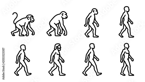 Fotografía Evolution of Man Icons, Primate to Human Stages, Walking Sequence Vector Set