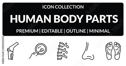 Quadro su tela outline human body parts icons set - kneecap, fertilization, male e of a line, human footprints
