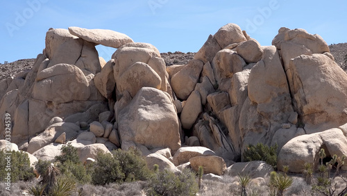 Photos A travel to joshua tree national park at 
california state of usa