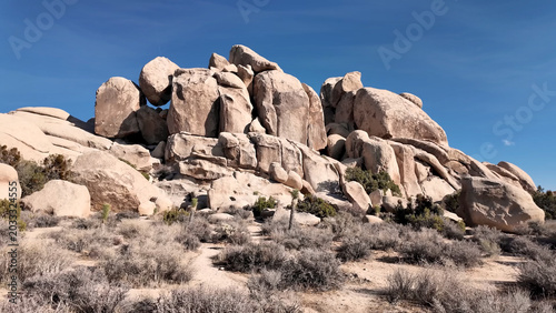 Foto A travel to joshua tree national park at 
california state of usa