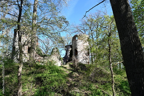 Burgruine Veste Landskron bei Iven