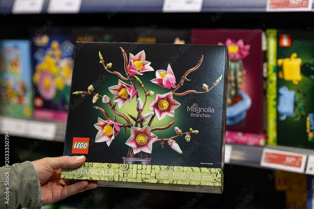 Obraz premium Wroclaw, Poland- February 27 , 2026. Customer holds a Lego Botanicals Magnolia Branches toy box in a store. Floral block construction kits, creative hobby and leisure gaming