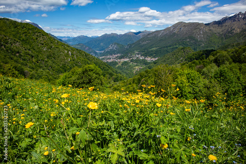 Flowered prairie in Valsassina from St. Peter pass
