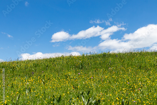 Flowered prairie in Valsassina from St. Peter pass in Valsassina
