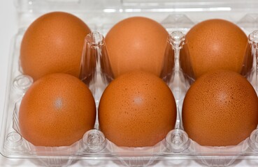 animal foods and chicken eggs photos