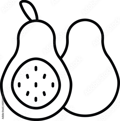 avocado halved with pit line art vector illustration on transparent background